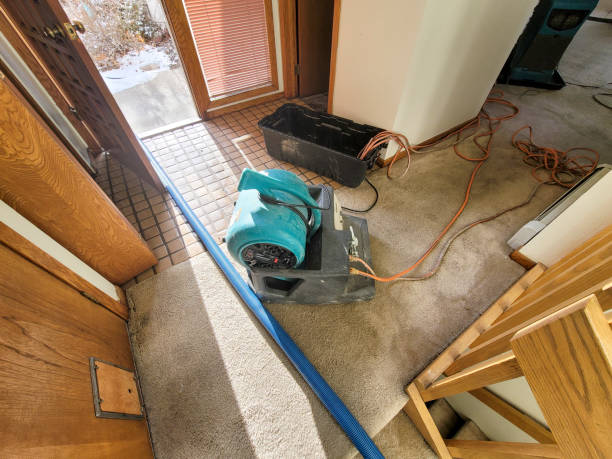 Best Water damage restoration experts  in Narrows, VA