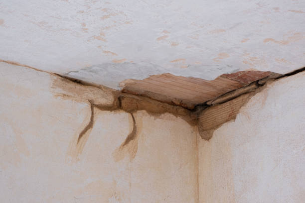 Best Residential water damage restoration  in Narrows, VA