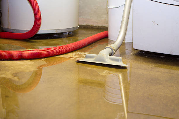 Best Commercial water damage restoration  in Narrows, VA