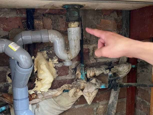 Best Water damage cleanup near me  in Narrows, VA