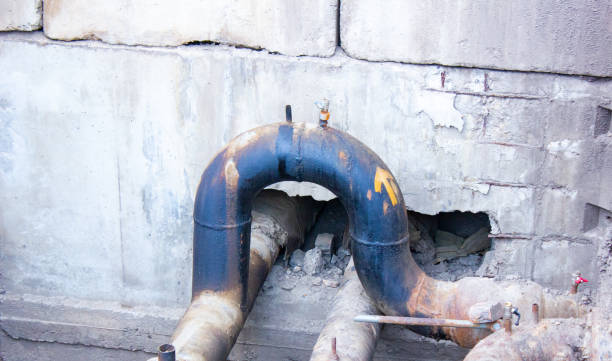 Best Carpet water damage restoration  in Narrows, VA